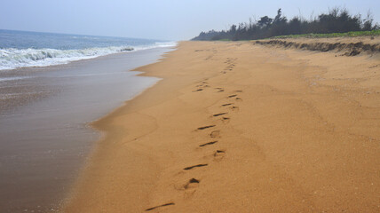 beach sand and foot path