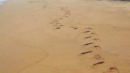 beach sand and foot path