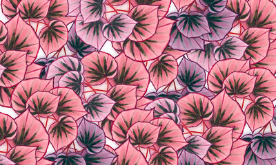 Colorful tropical leaves  watercolor digital painting  ,abstract  spring  ,summer nature background