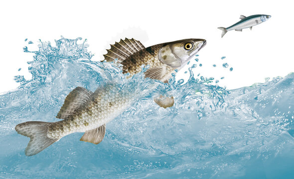 2 690 Best Gardon Images Stock Photos Vectors Adobe Stock 2 690 Best Gardon Images Stock Photos Vectors Adobe Stock