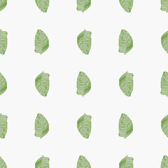 Organic palm leaf seamless pattern with hand drawn foliage print. Simple color background. Vector illustration for seasonal textile.