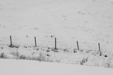 a fence by a pasture in winter