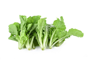 fresh green lettuce salad leaves isolated on white background