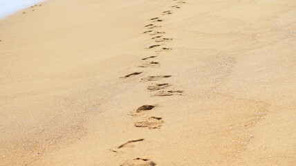 beach sand and foot path