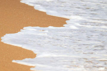 beautiful beach and sea waves and white foam