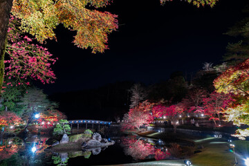 静岡県伊豆市修善寺　虹の郷　紅葉のライトアップ　リフレクション