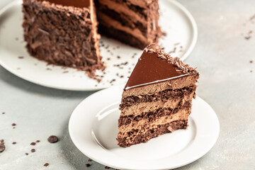 Delicious chocolate cake on plate light background. Food recipe background. Close up