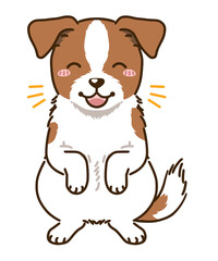 喜ぶジャックラッセルテリア（ホワイトタン）
