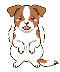 おびえるジャックラッセルテリア（ホワイトタン）