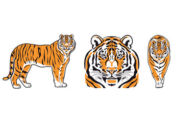 Tiger symbol. Icon, logo or tattoo. Vector illustration.