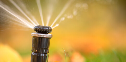 The rotary nozzle of the automatic watering system waters the juicy young green lawn grass....