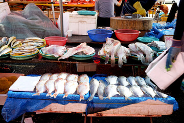 전통시장에는 다양한 싱싱한 음식들 생선들 약초 야채들이 판매합니다.