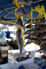 전통시장 5일장에는 다양한 음식들을 판매하는 재래시장입니다.