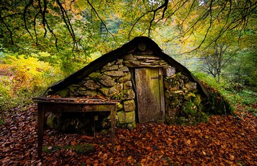 house in autumn forest