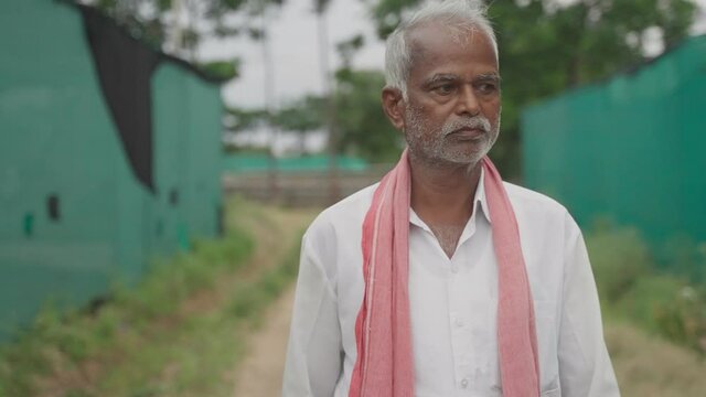 tracking shot of worried or sad indian former walking at greenhouse or polyhhouse farm due to loss in agribusiness - concept of bankruptcy and crop failure.