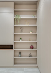 wardrobe and shelves with decor in the room in a modern style