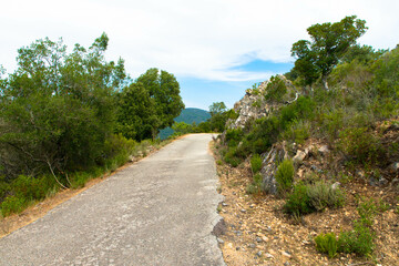 Fototapeta na wymiar Broken country road with many potholes through the forest. Corsica, France