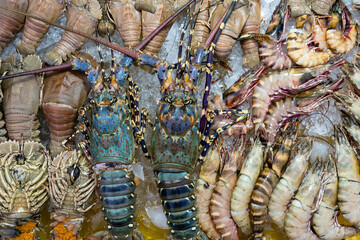 Fresh lobster for sell at the street food market , Malaysia, close up seafood