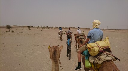 5 guys crossing the desert