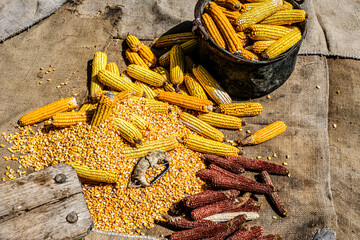view of dried corn with bowl of corn kernels and manual hand tool to clean maize on jute sack