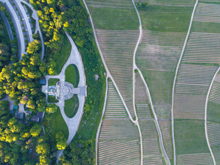 Luftbild mit Drohne von Weinreben und Weinberge beim Niederwalddenkmal bei Rüdesheim im Sommer in Rheinhessen, Deutschland