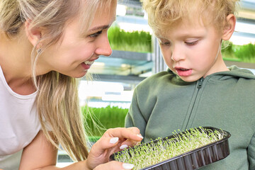 Young beautiful woman tells a child about the benefits of eating freshly grown microgreens. Concept...