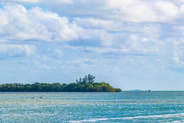 Panorama landscape view Holbox island nature birds turquoise water Mexico.