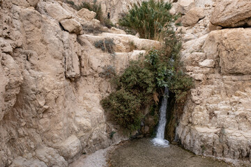View of the small waterfall at the entrance of Nahal (stream) David trail in the deep canyon at Ein Gedi Nature Reserve, Kibbutz Ein Gedi, Judean desert, Israel