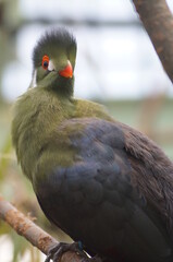 Naturaleza, Ejercicios de practica. Fotografías por Patricio Olivos