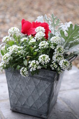 bouquet of roses