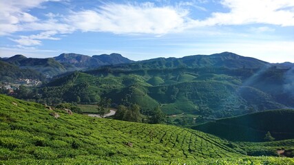 Fototapeta premium Munnar