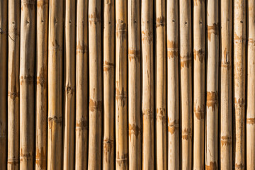 Old brown tone bamboo simple wall or Bamboo fence texture background for interior or exterior design vintage tone. Brown bamboo stick pattern backdrop. Local area urban house protection from thief.