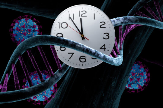Virus Sars