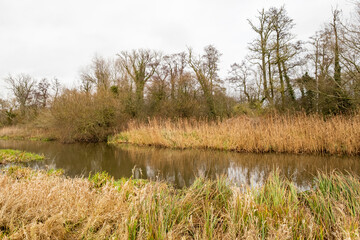 The River Bure in full flood flowing through meadows in the Norfolk village of Buxton. Captured on a bright, but cold, winter’s day