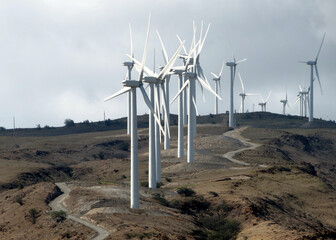 Maui wind mills generate electricity