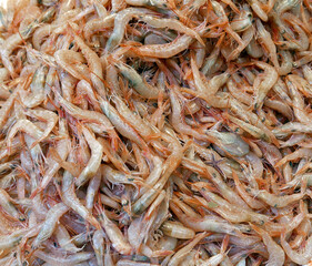 macro di grande quantità di gamberi freschi in vendita al mercato del pesce