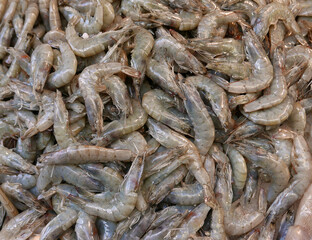 macro di grande quantità di gamberi freschi in vendita al mercato del pesce