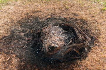 Remains of a burnt tire in the form of a metal base, polluting the environment.