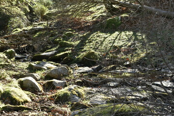 paysage de montagne à la rhune