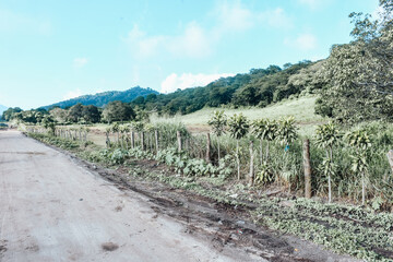 Fototapeta na wymiar Tierra para sembrar en El Salvador