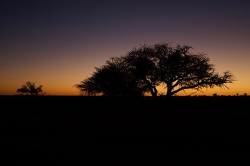 Fototapeta na wymiar Sunset at Nossob, Kgalagadi