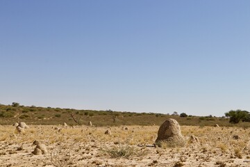 termite mounds in the Kgalagadi