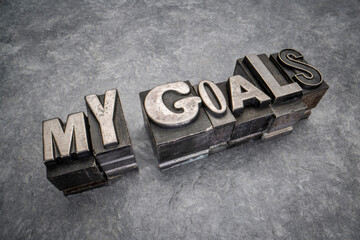 my goals - word abstract in gritty vintage letterpress metal types, mixed fonts against handmade bark paper