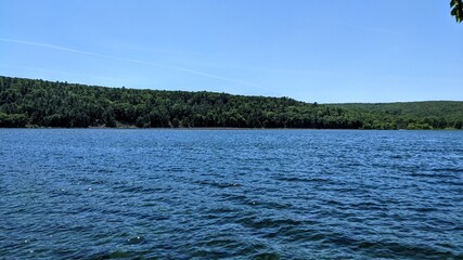 lake and forest