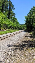 Obraz premium railway in the forest