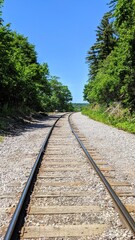railway in the forest