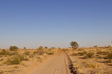 Dirt Road of the Kgalagadi