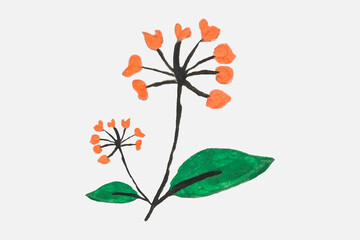 Floral Design elements Hand drawn watercolor flower illustration Botanical clipart