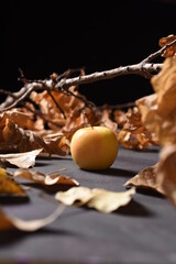 Fototapeta na wymiar apple in autumn leaves