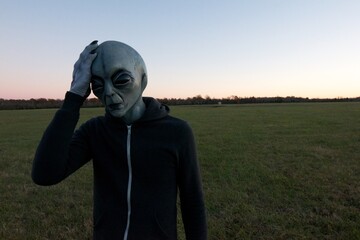 Stranded Alien at the UFO crash site